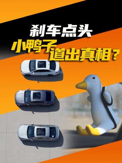 刹车点头看什么?一只鸭子就能给你答案！