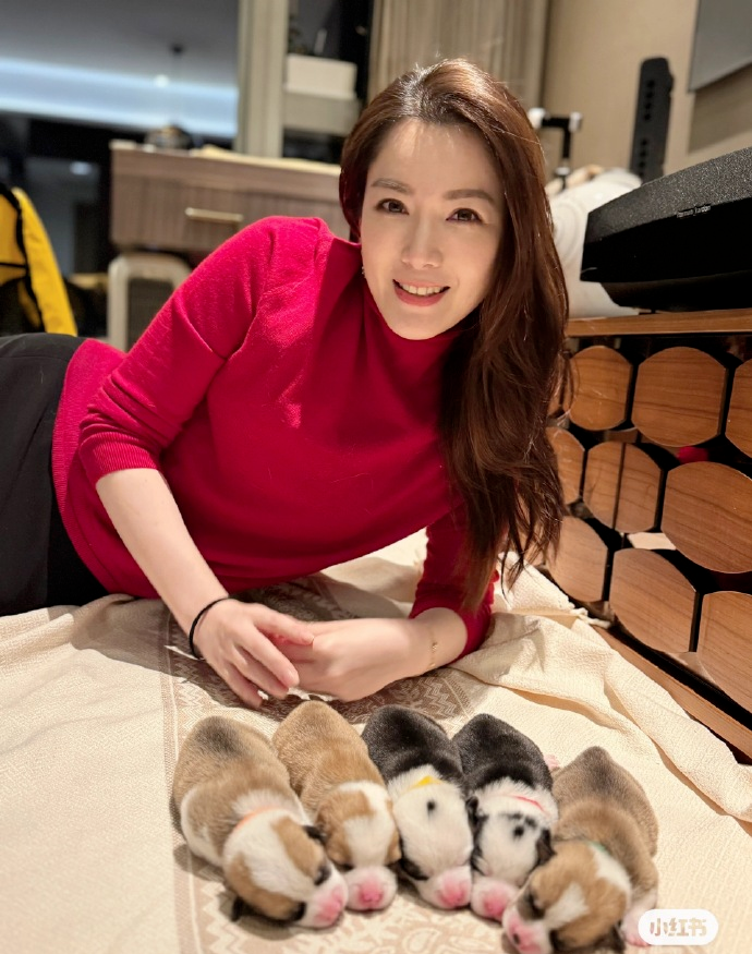 来源：潇湘晨报、杭州日报