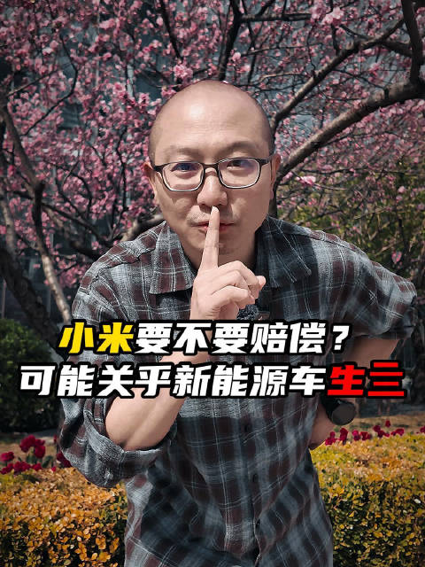 小米要不要赔偿？可能关乎新能源车的生亖