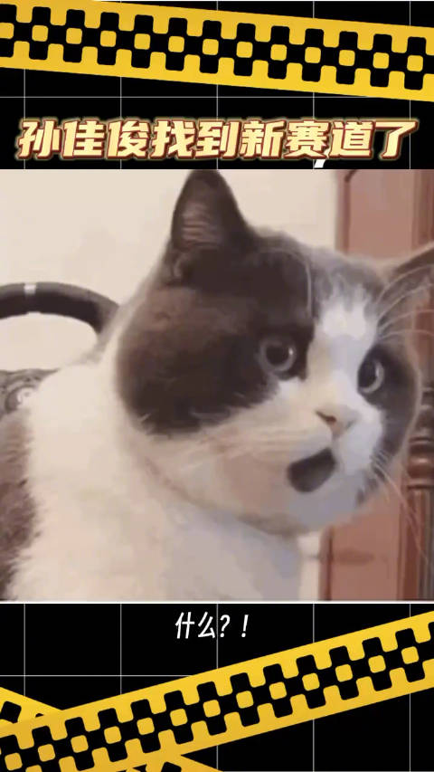 给奥运冠军孙佳俊找到新赛道的人简直是天才，把“速度信仰”玩明白了！