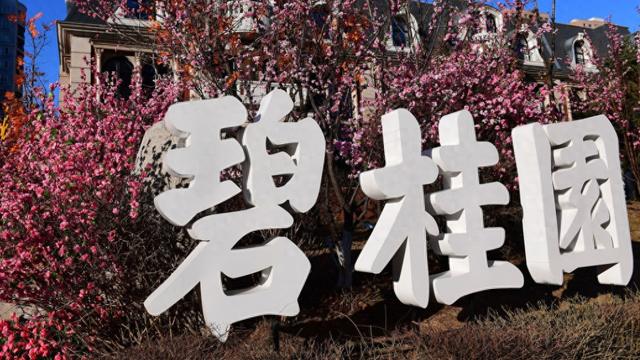 碧桂园 视觉中国 资料图