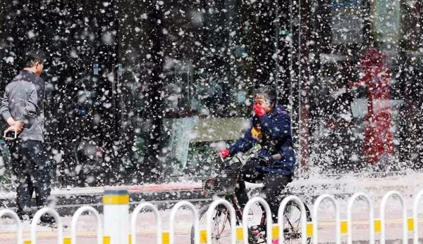 又到漫天“飞雪”季 车辆也要防“过敏”