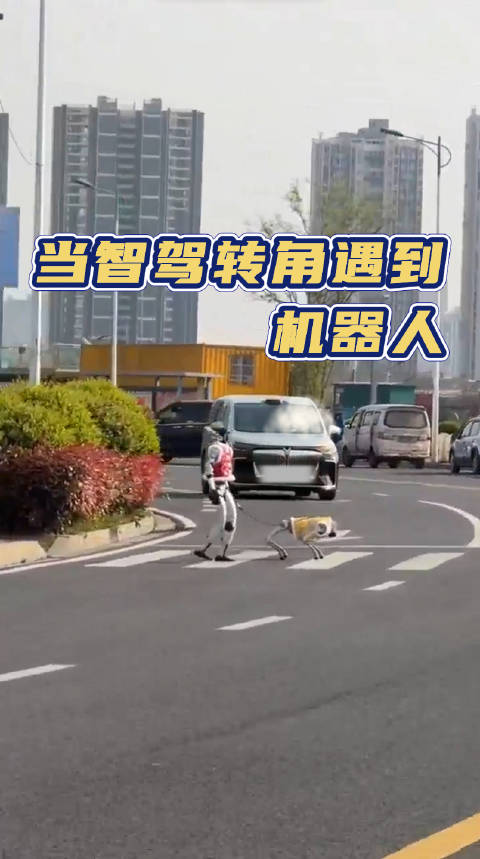 近日，一段全新岚图梦想家遇到机器人过马路极限刹停的视频引发热议