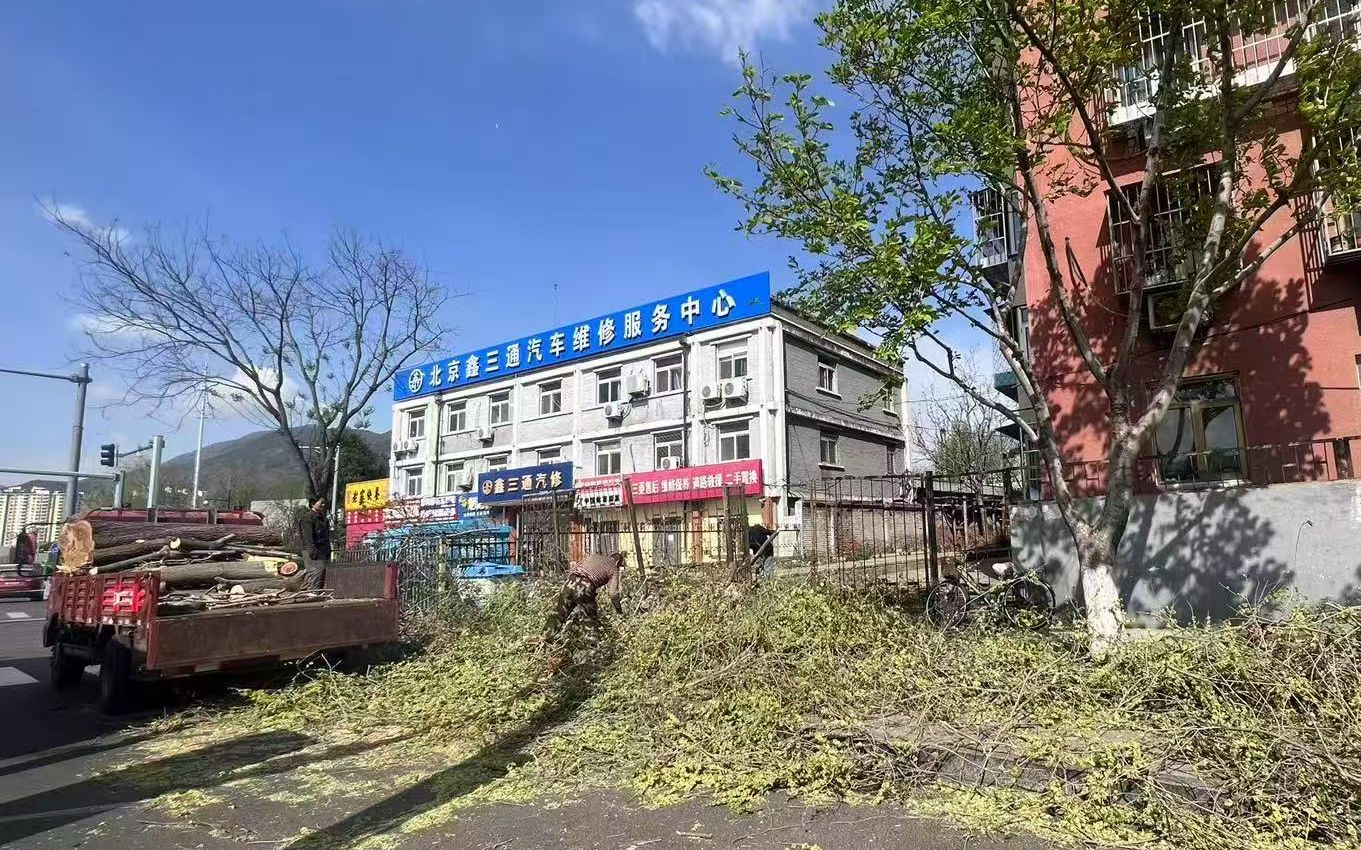 工作人員清理被吹斷的樹枝。受訪者供圖