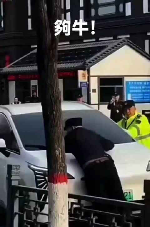 这埃安车主，可不够安分！