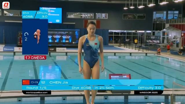 2025年跳水世界杯加拿大温莎站，女子3米板决赛，陈佳379.05分夺冠…