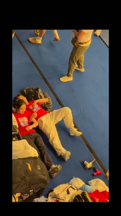 跳水世界杯温莎站已落幕，中国跳水梦之队最终以8金3银1铜的成绩收官本站赛事