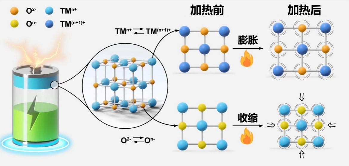 過渡金屬和氧活性中心與材料的熱膨脹性的關係示意圖。中國科學院寧波材料技術與工程研究所供圖