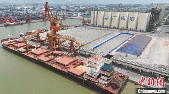 广州海事全力保障进口巴西大豆运输安全畅通。广州海事局 供图