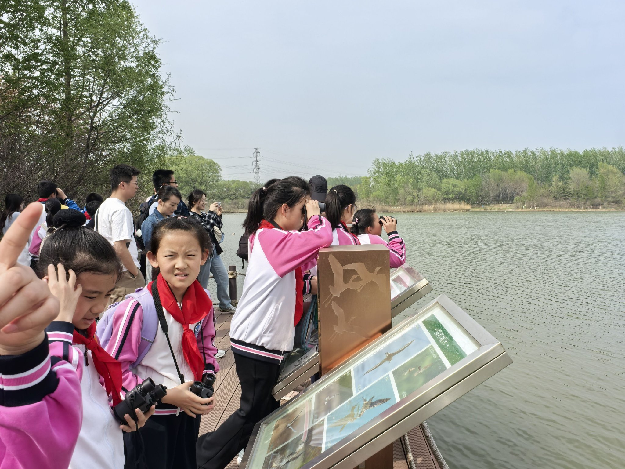 學生們拿著望遠鏡觀測翠湖水面上的鳥類。圖源:海澱區園林綠化局
