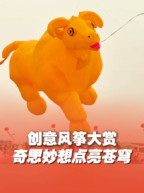 潍坊风筝的风是发疯的疯吧