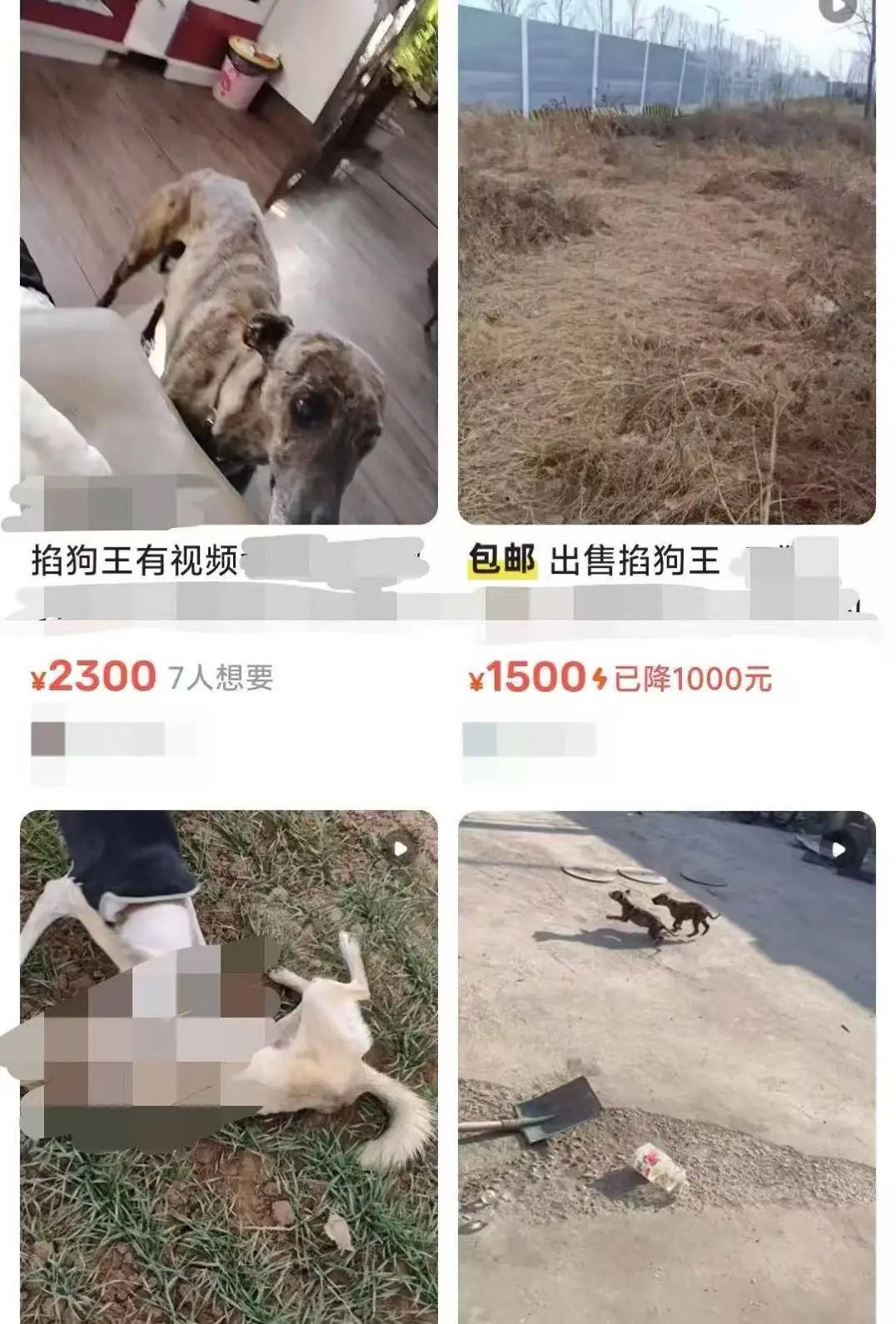 二手交易平台上商家售賣的「掐狗」「掐貓」