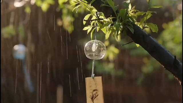 谷雨天适合看的剧