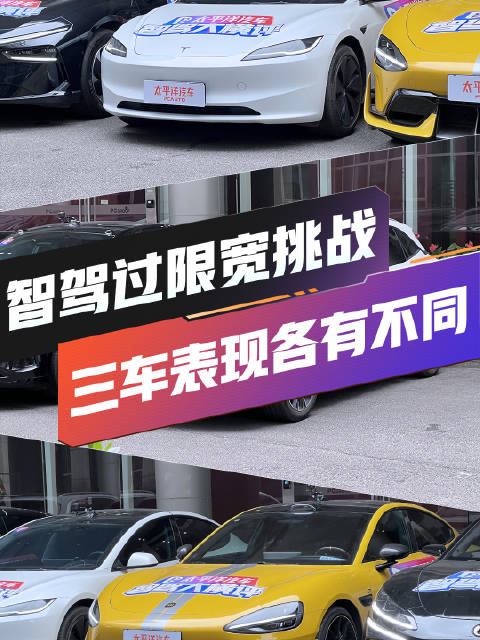 三车智驾过限宽速览！