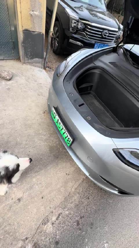 这就是买特斯拉的意义