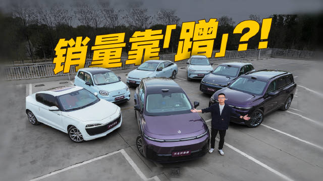 全系大起底！零跑为什么能成新势力销冠？