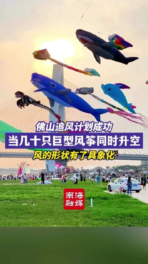 佛山追风计划成功