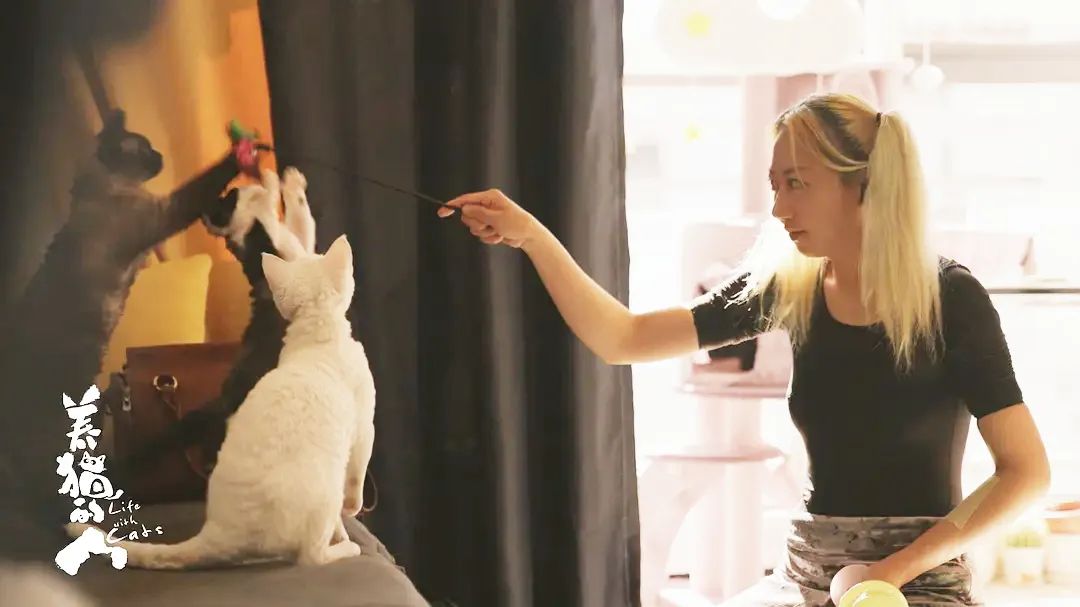 (图/《养猫的人》)