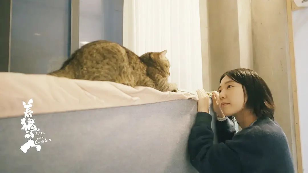 (图/《养猫的人》)