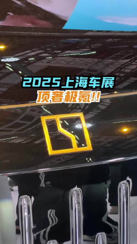 吸引众人的杭州湾库里南和金标极氪，咱们来看看怎么个事儿