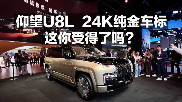 仰望U8L 24K纯金车标 这你受得了吗？