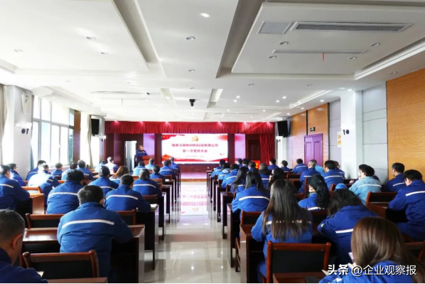 成立瑞泰马钢党委