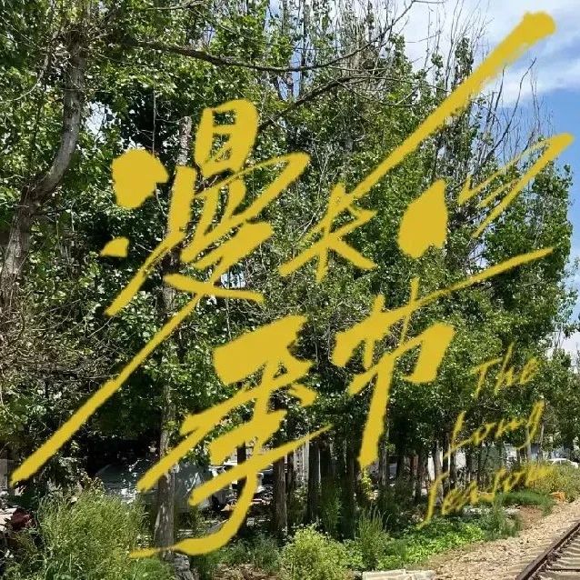 城市漫步指南：在昆明，感受《漫长的季节》