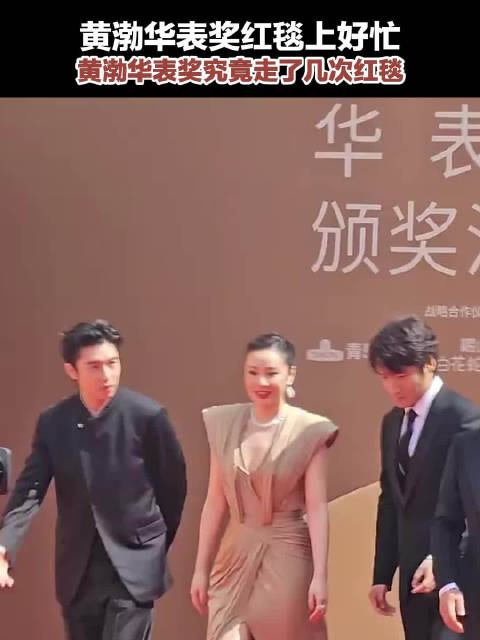 黄渤华表奖红毯上好忙