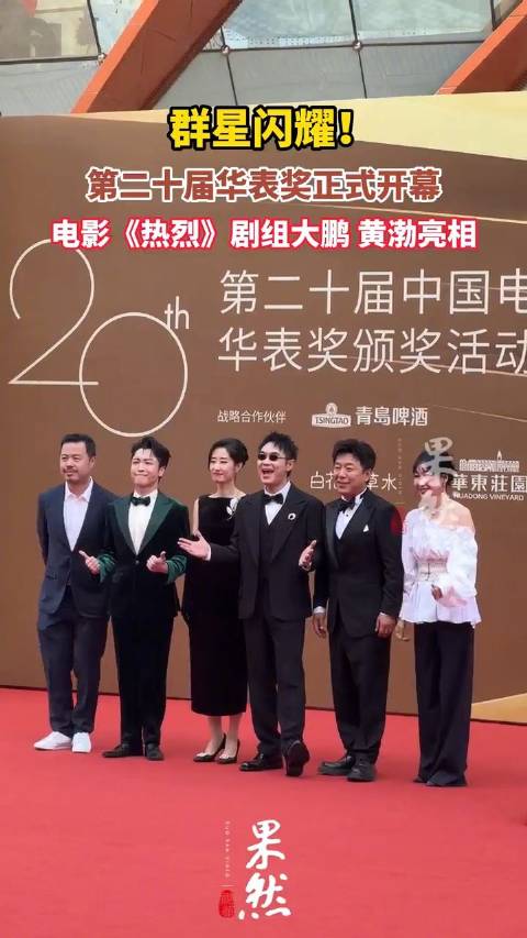 热烈剧组大鹏黄渤亮相华表奖