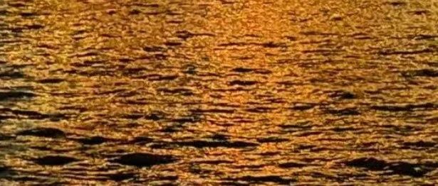 夜思 | 让我们来治愈一下《黑镜》带来的致郁