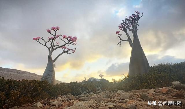 图片来源：水云千帆