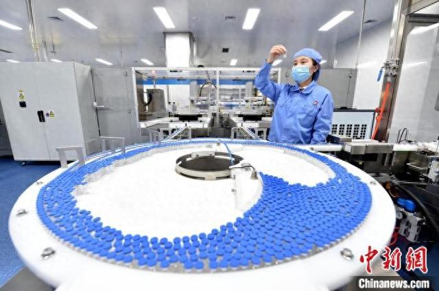 石药集团巨石生物制药有限公司包装车间内,质量检验员正在抽检产品。 (资料图) 沈腾飞 摄