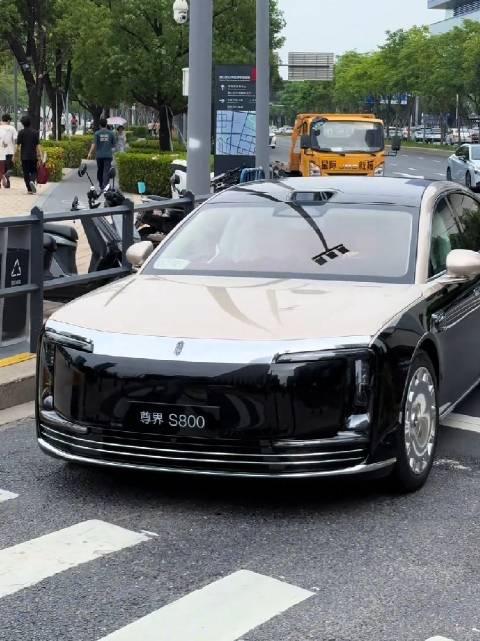 深圳湾偶遇深圳首台上路的尊界S800，双拼色车身搭配上大饼轮毂真的太霸气了！