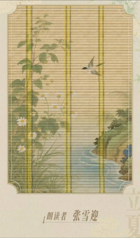 张雪迎带你一起品读夏天