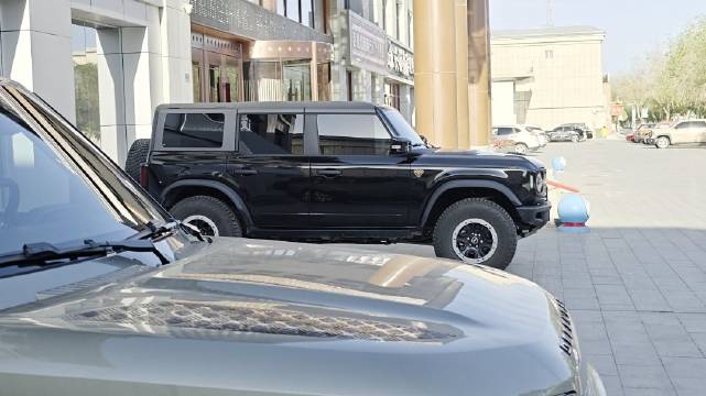 魏亦虎偶遇同款烈马倍感亲切