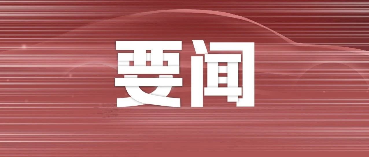 极氪或“回归一个吉利”