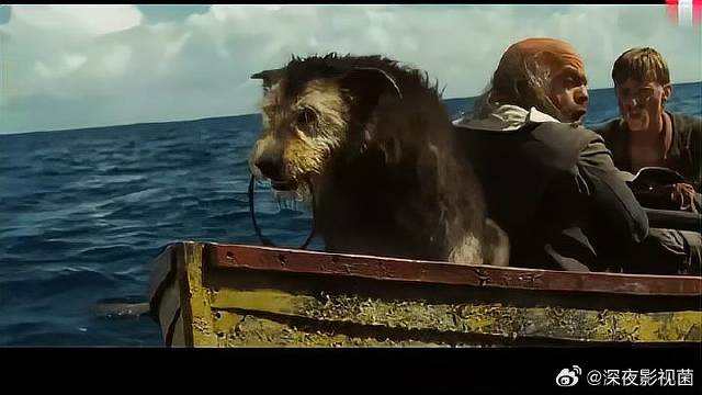 这两个是整剧的笑点，还读圣经，准备拯救自己的灵魂