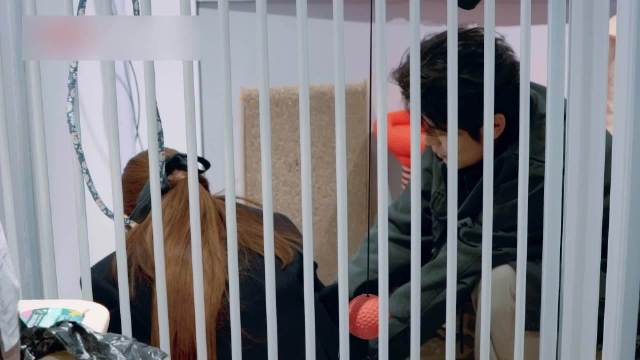 何广智谈不养宠物原因，怕离别拒再经历伤心