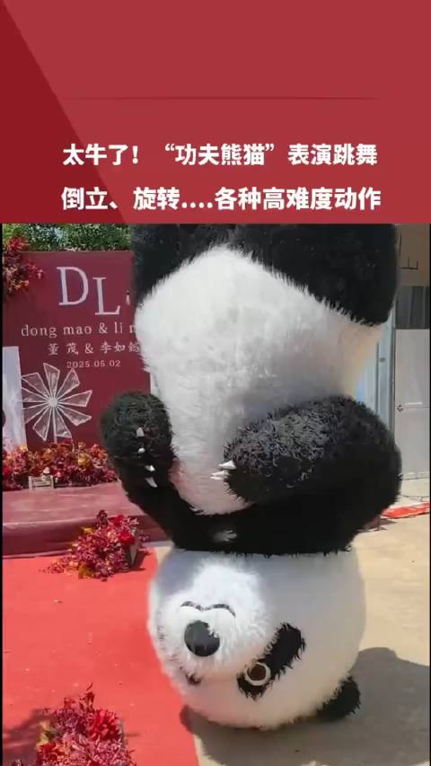 熊猫表演高难度舞蹈动作引惊叹