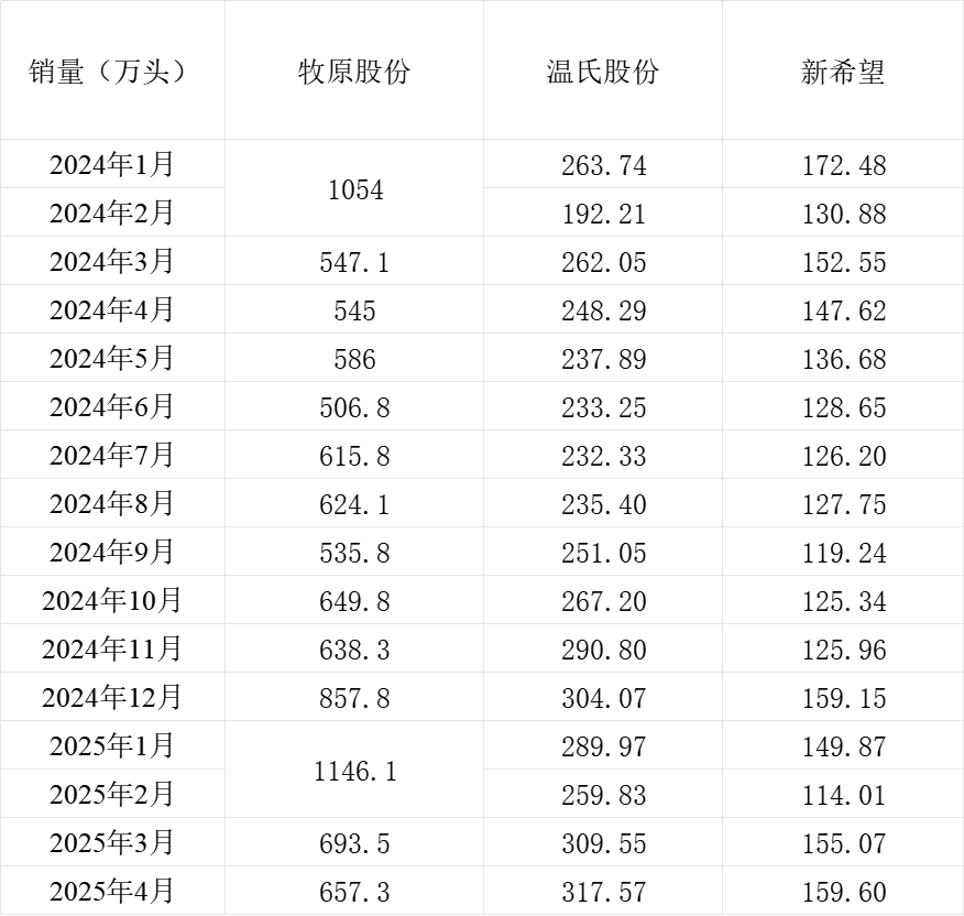三大上市猪企销量情况。制表  澎湃新闻
