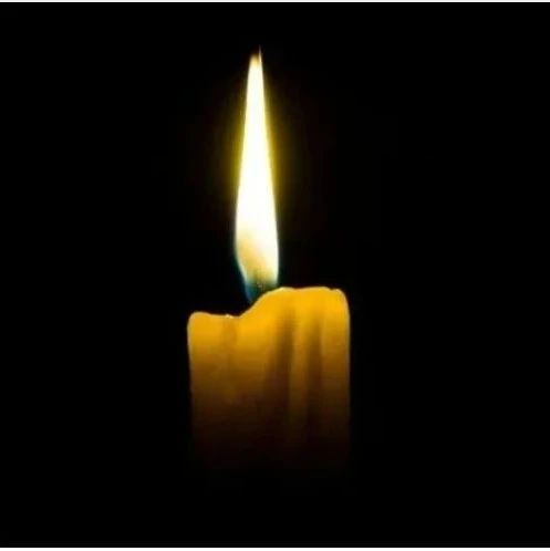 知名导演离世，享年71岁！曾执导《纸牌屋》《汉尼拔》