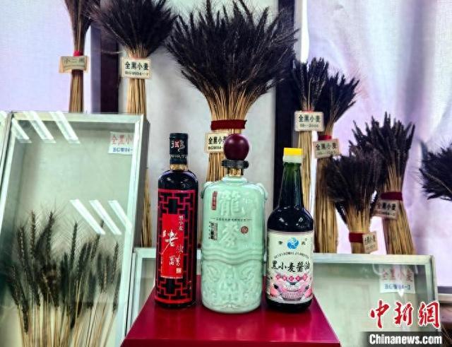 一粒黑小麦的华丽蜕变。任丽娜 摄