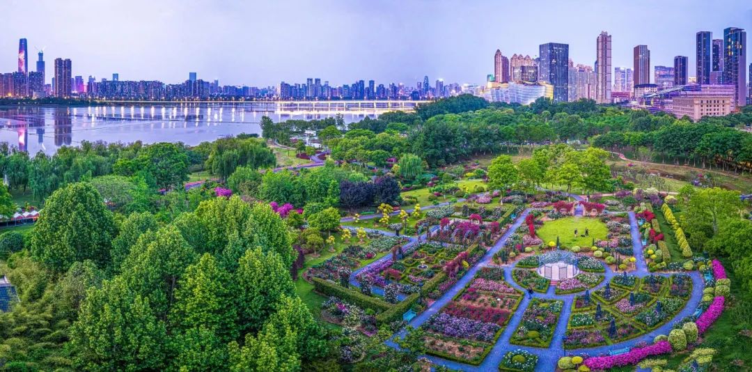 ▌《2025年世界花园大会主会场掠影》组照二 城市摄影队晏继方摄