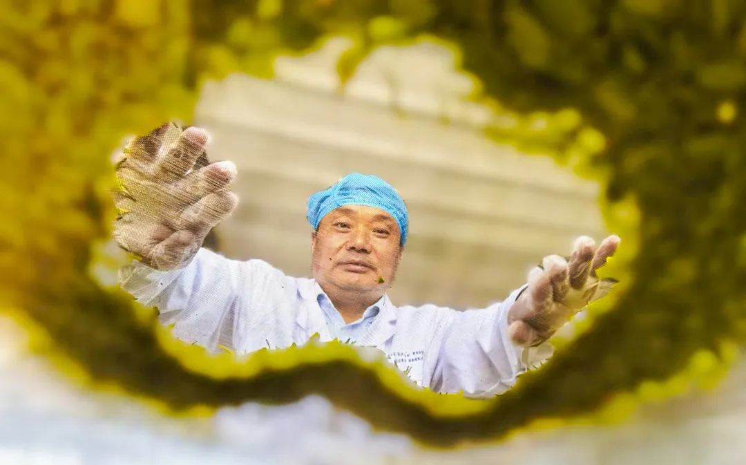 ▌《全国劳模胡全波》组照 城市摄影队魏久明摄