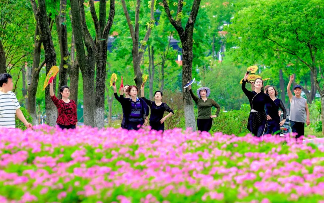 ▌《江城似花城》 城市摄影队黄有刚摄