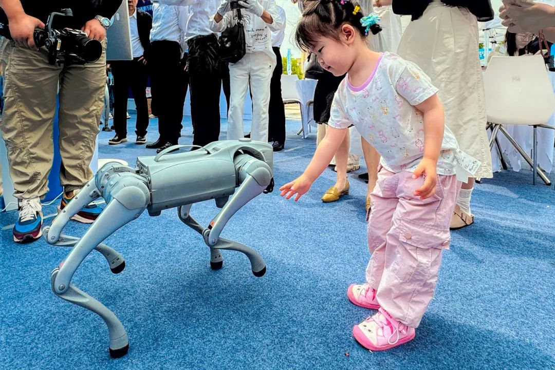 ▌《时代新宠》组照 城市摄影队曹军摄
