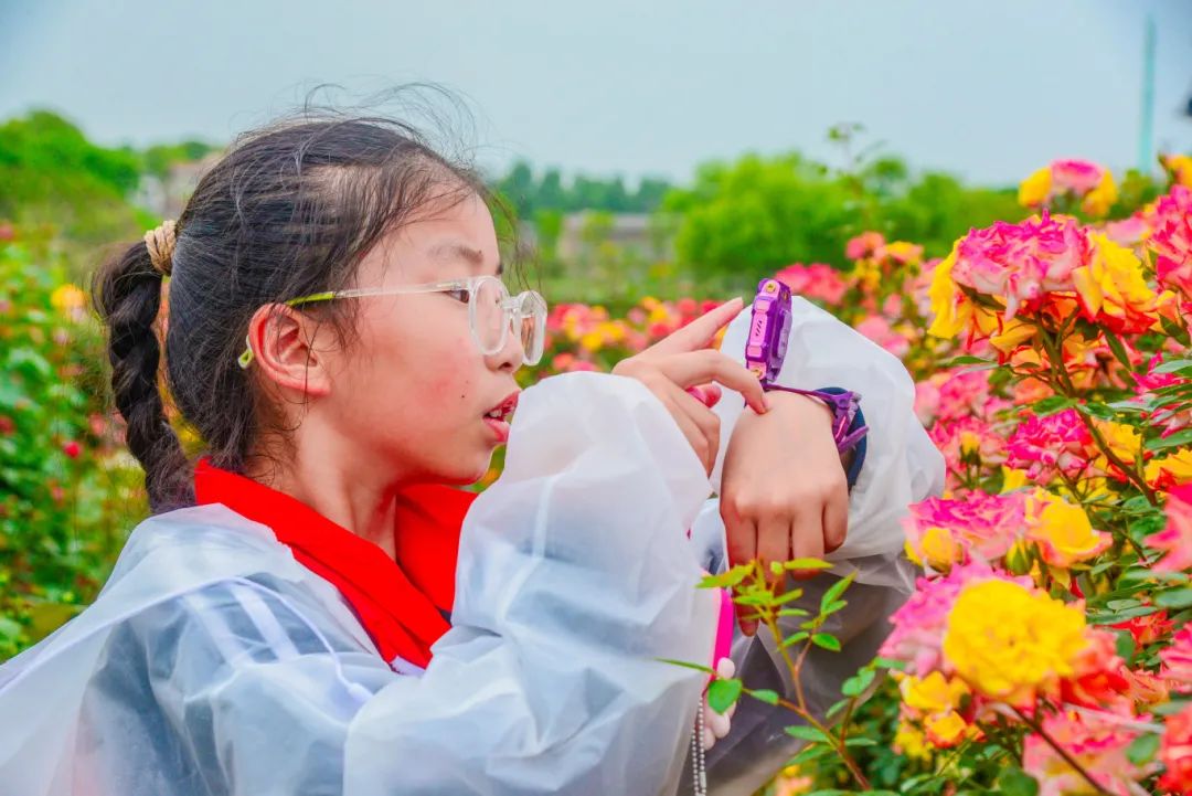 ▌《花海光影拾趣》组图 城市摄影队王凤悟摄