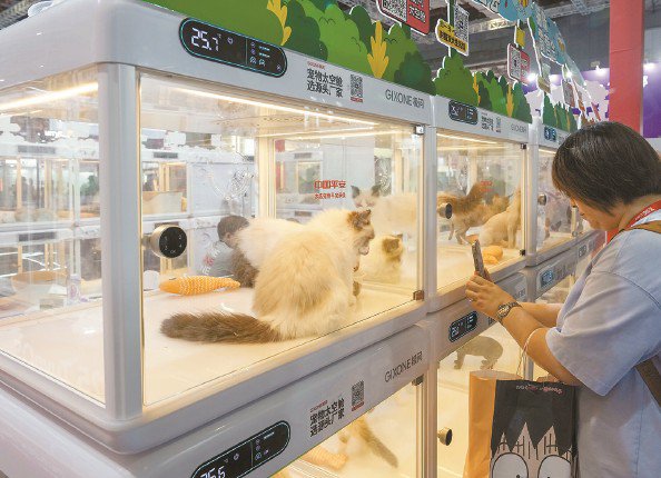 在“智能养宠”专区,展商带来恒温太空舱等产品 本报记者陈梦泽 摄