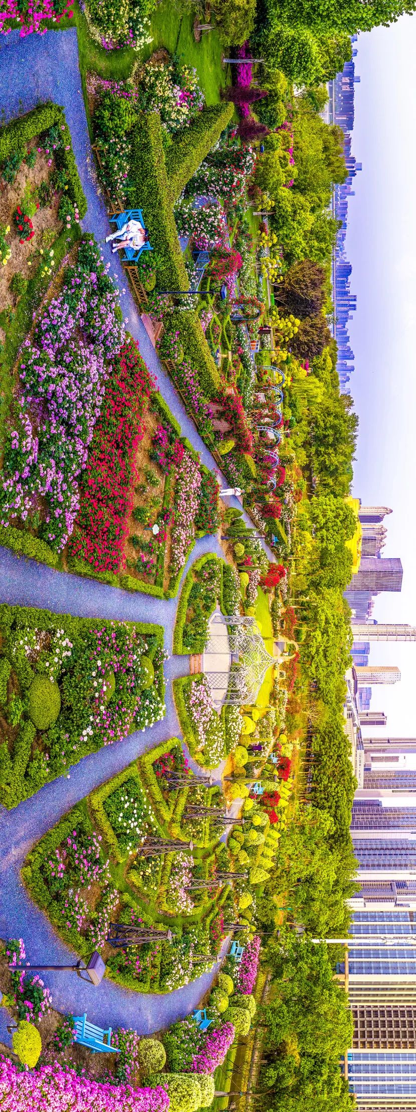 ▌《2025年世界花园大会主会场掠影》组照一 城市摄影队晏继方摄