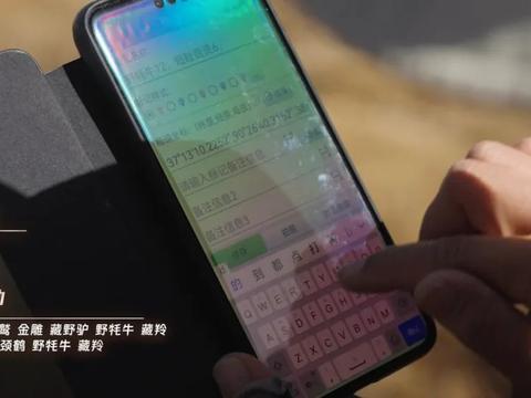 捷途旅行者阿尔金山巡护科考纪实，轻越野SUV也敢进无人区？